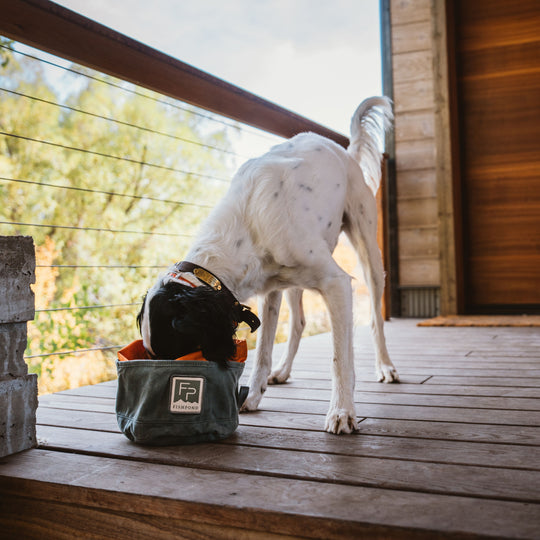 Fishpond Bow Wow Travel Food Bowl Duskwood Image 04