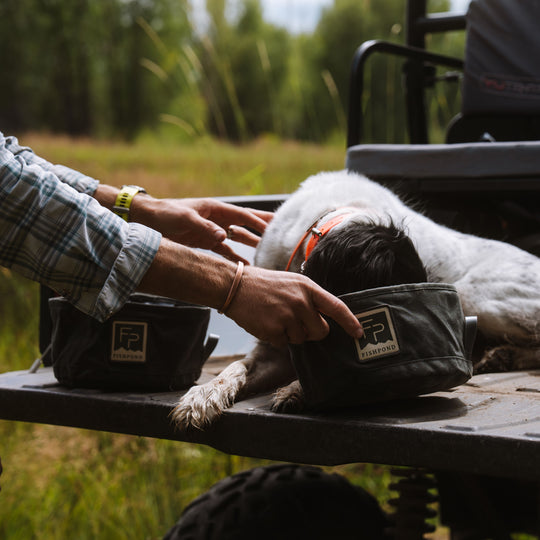 Fishpond Bow Wow Travel Food Bowl Duskwood Image 05