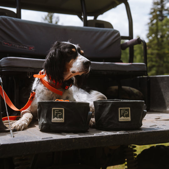 Fishpond Bow Wow Travel Food Bowl Duskwood Image 06