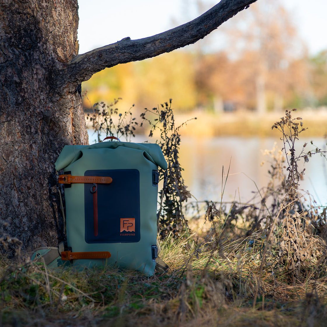 Fishpond Wind River Roll-Top Backpack Eco Yucca Image 06