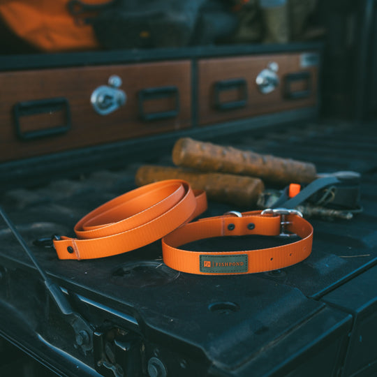 Fishpond Dog Collar Ember Image 03