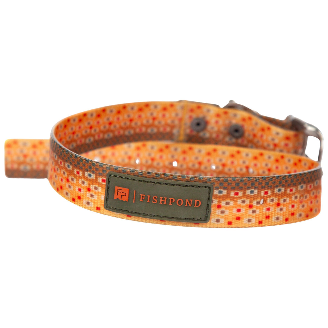 Fishpond Dog Collar Trucha Image 02