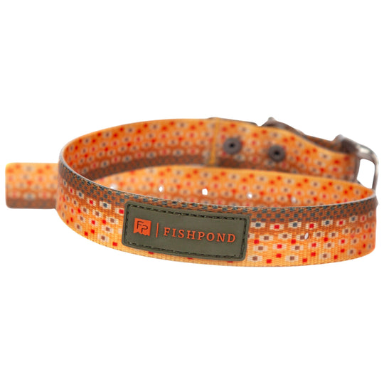 Fishpond Dog Collar Trucha Image 02