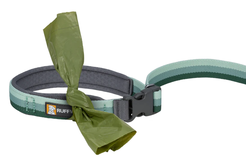 RuffWear Roamer Bungee Leash