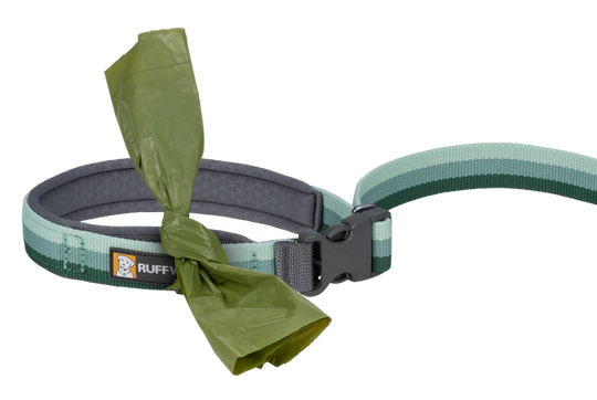 RuffWear Roamer Bungee Leash