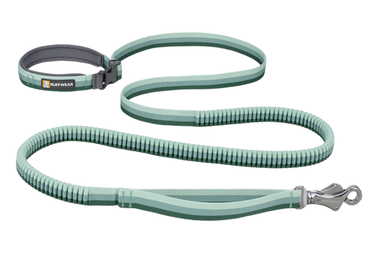 RuffWear Roamer Bungee Leash