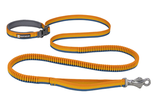 RuffWear Roamer Bungee Leash