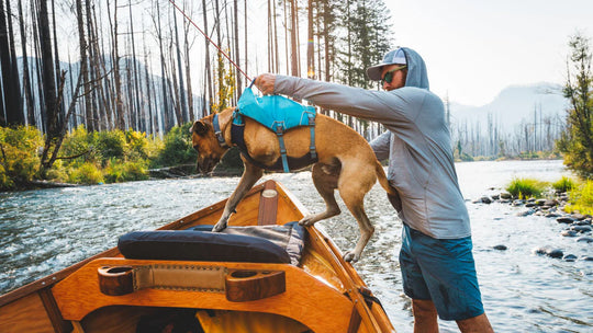 RuffWear Confluence Life Jacket