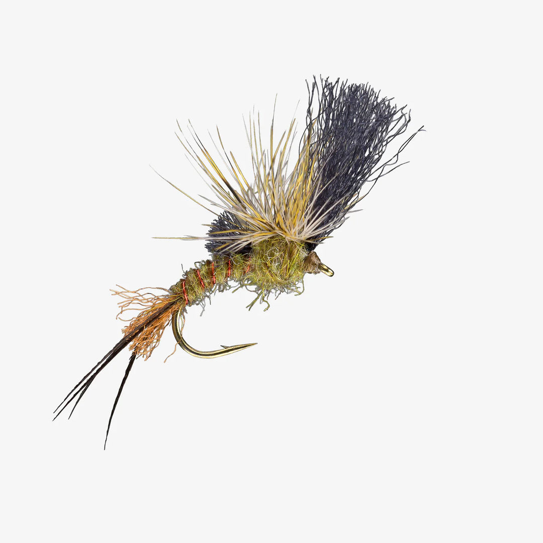 Essential Summer Dry Fly Box