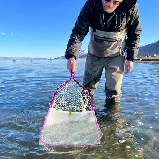 Rising Bug Collection Kit