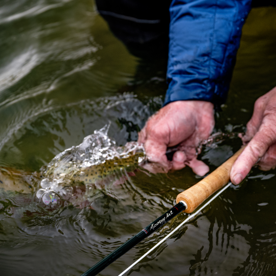 Winston MicroSpey Air 2 Fly Rod