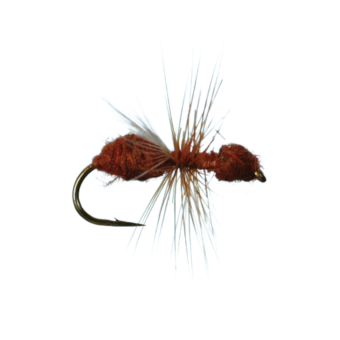 Essential Summer Dry Fly Box