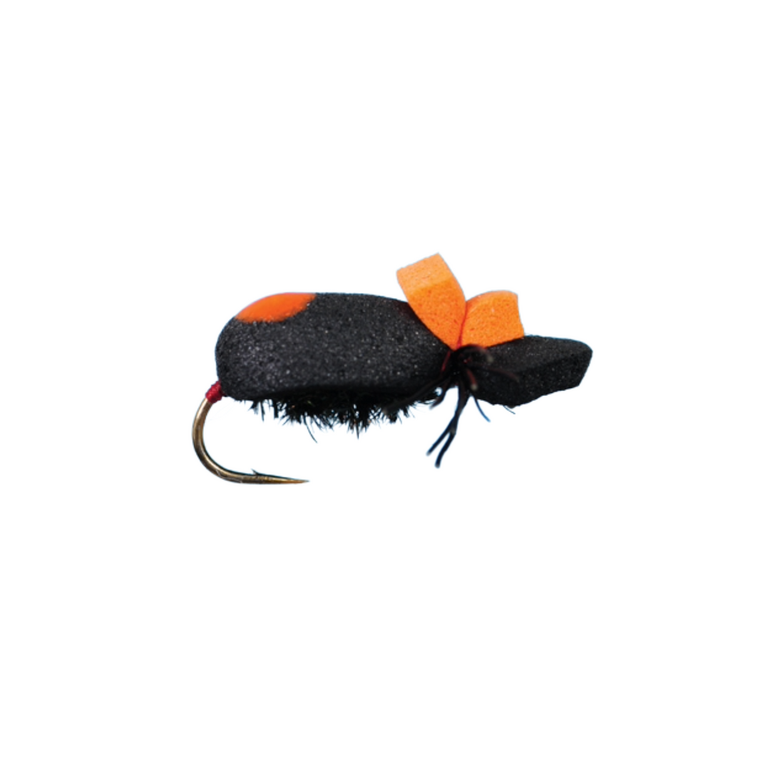 Essential Summer Dry Fly Box