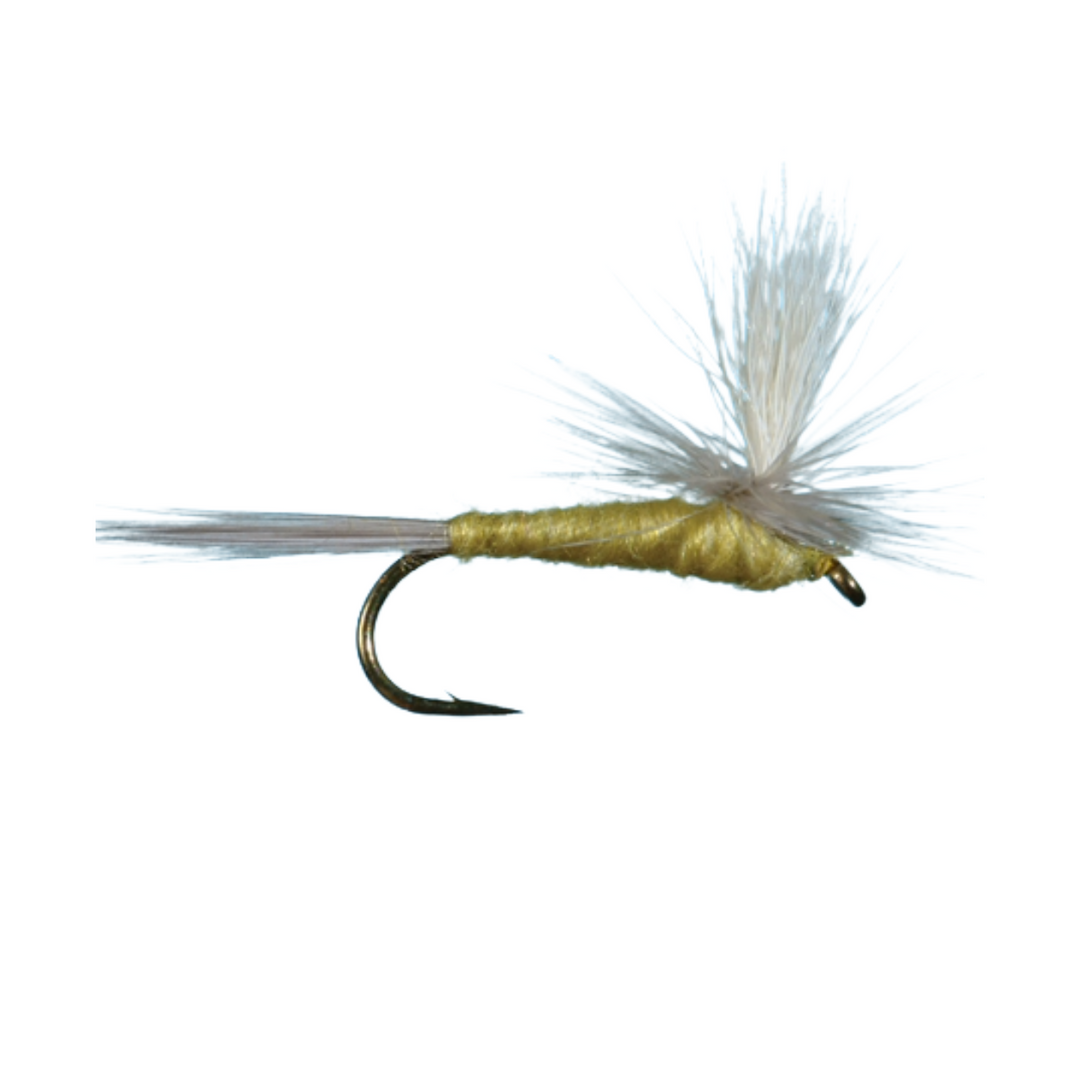 Essential Summer Dry Fly Box