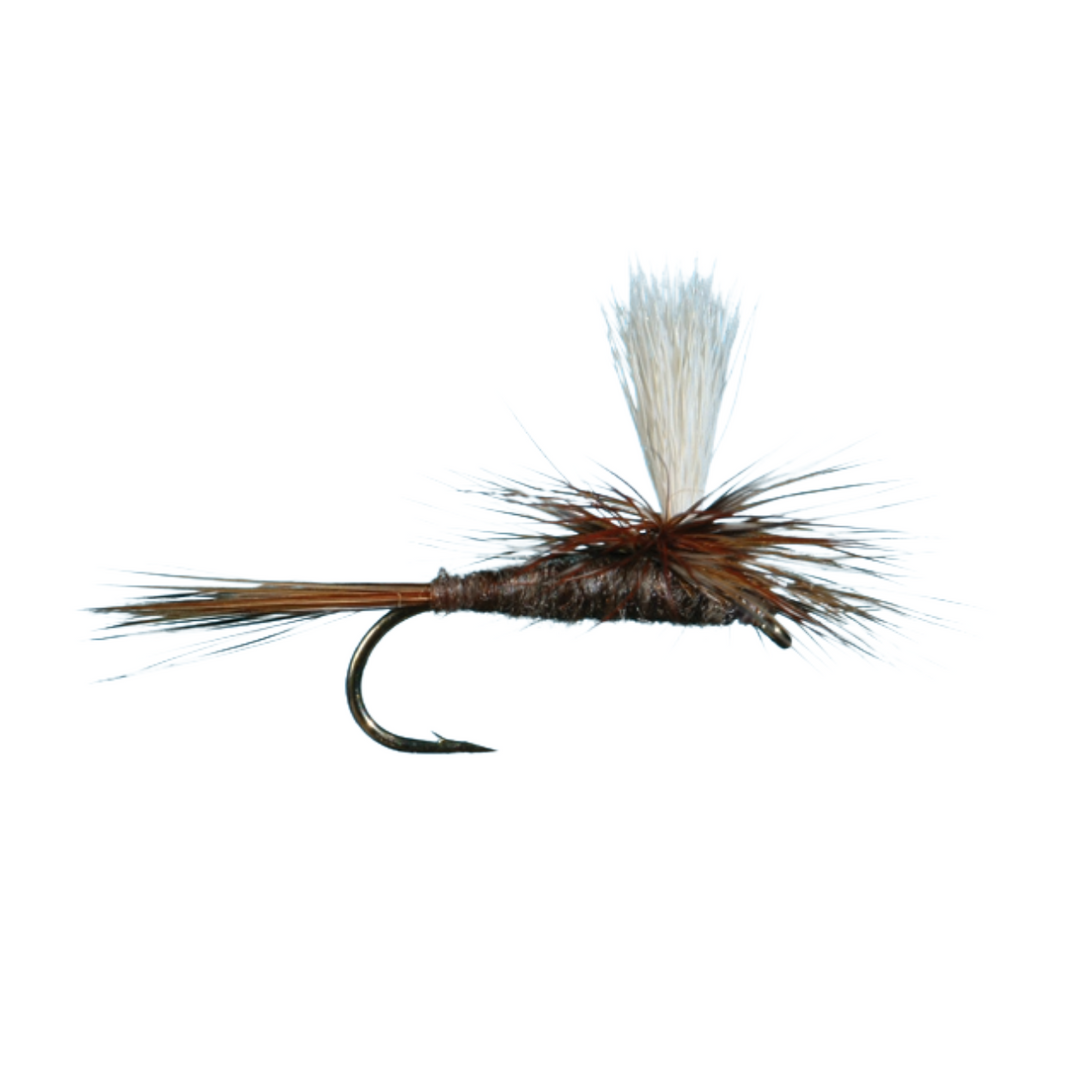 Essential Summer Dry Fly Box