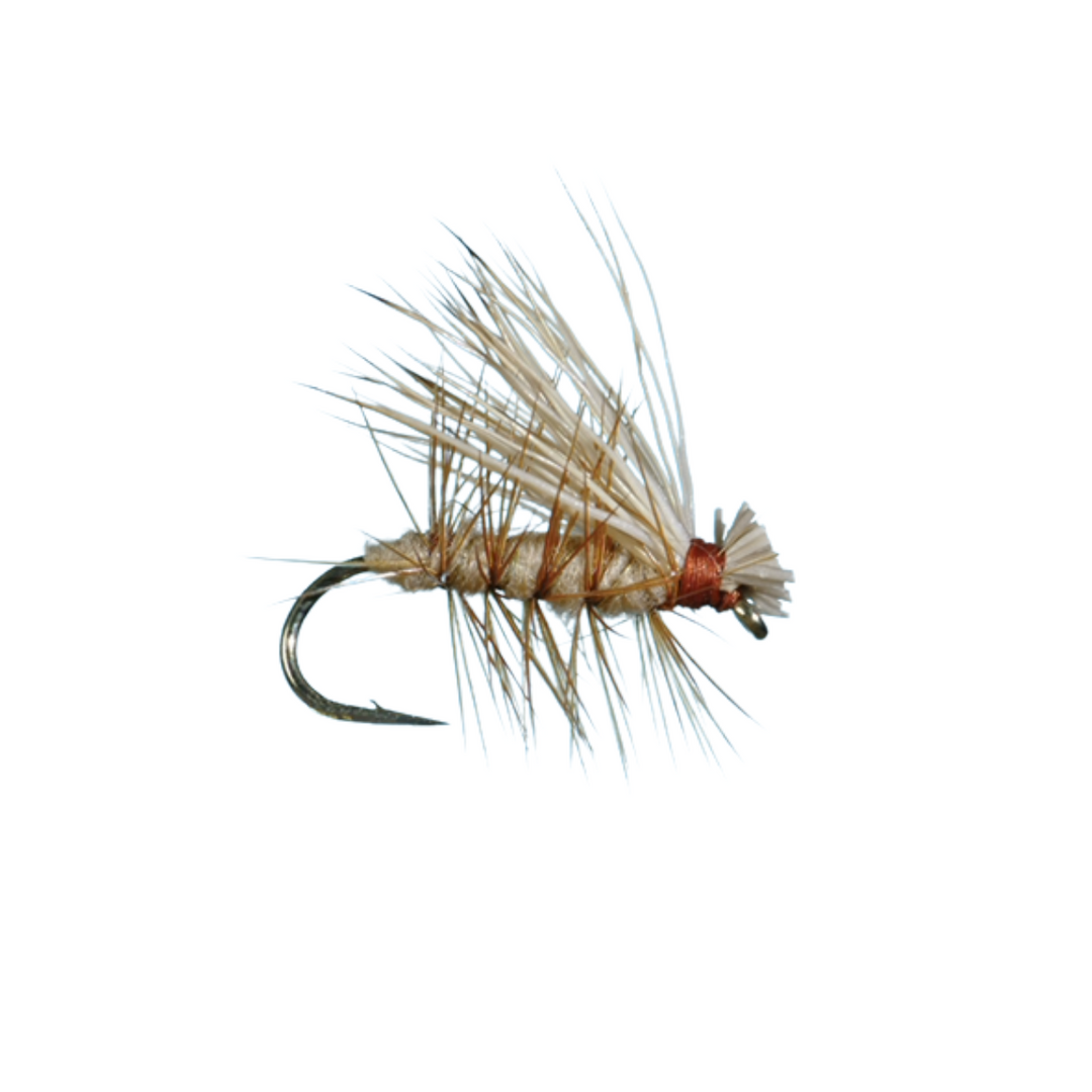 Essential Summer Dry Fly Box