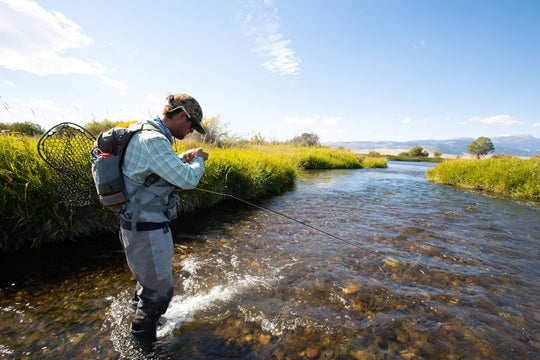 Fishpond Ridgeline Backpack